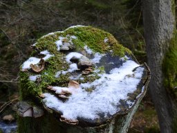 007_winter_hp